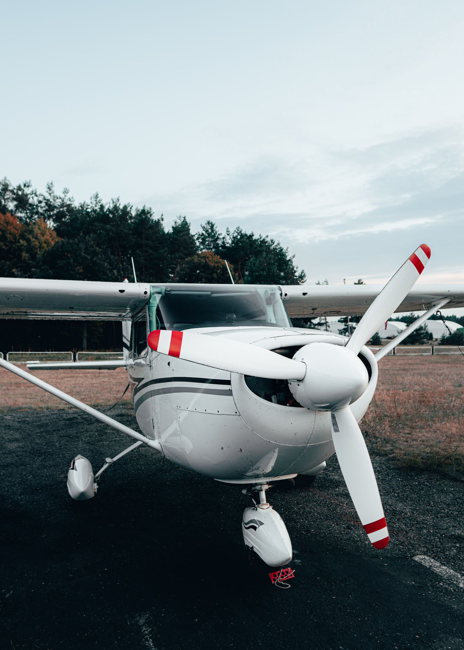 Cessna Skyhawk parked on grass in sunlight